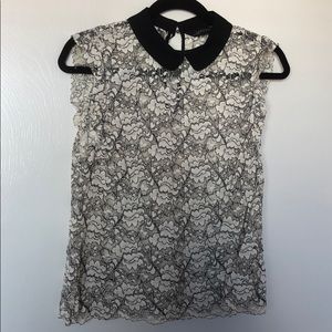 Zara Lace top with Collar 🖤